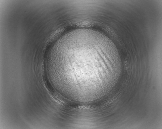 X0000056370690200509232159