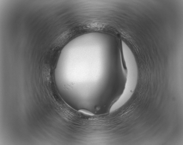 X0000056370693200509232159
