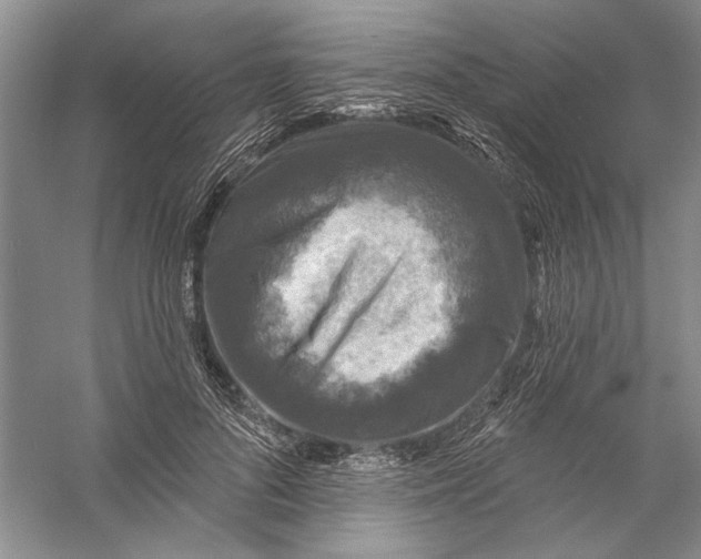 X0000056370696200509232159