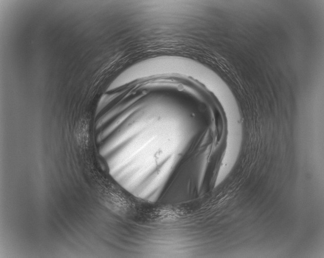 X0000056370697200509232159
