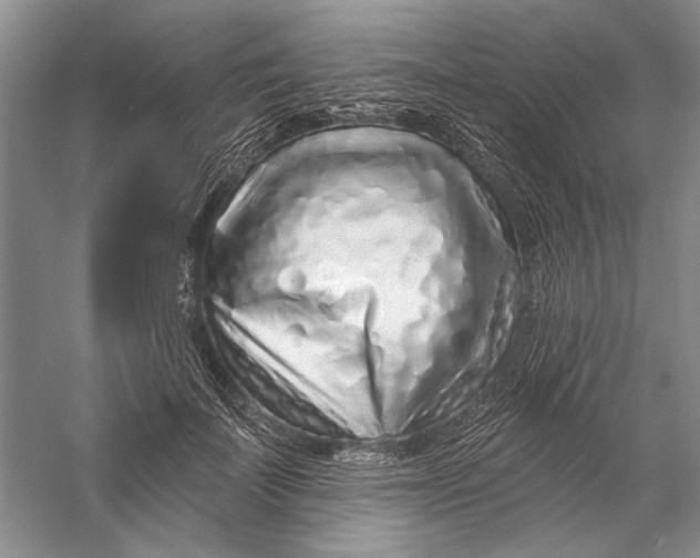 X0000056370699200509232159