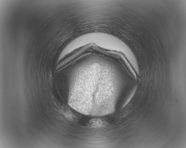 X0000056370704200509232158