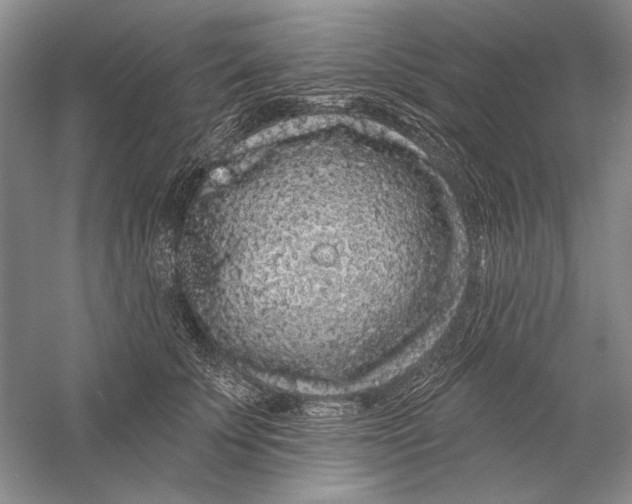 X0000056370707200509232158