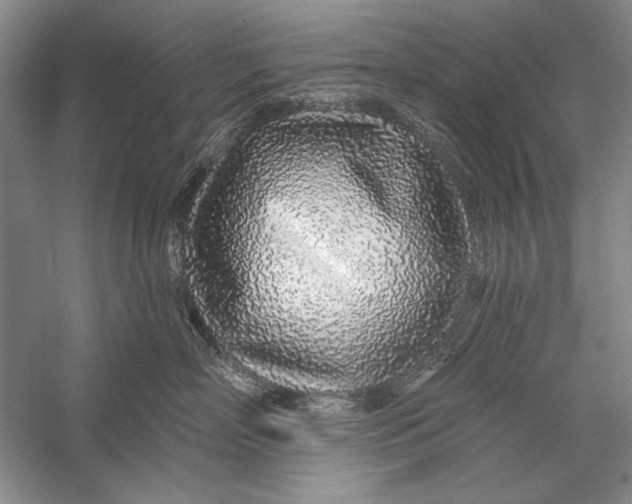 X0000056370718200509232158