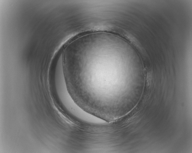 X0000056370722200509232157