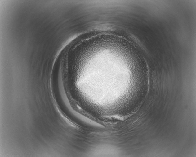 X0000056370726200509232157