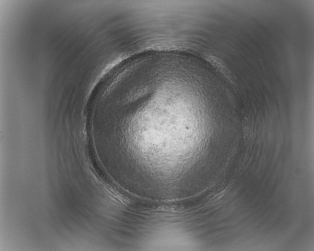 X0000056370727200509232157