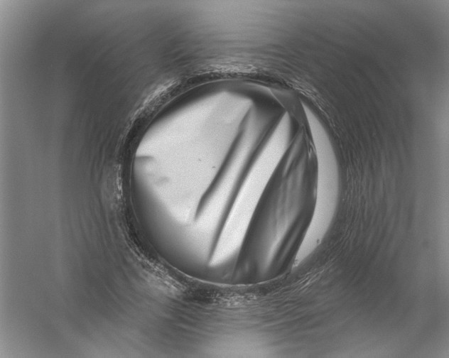 X0000056370731200509232158