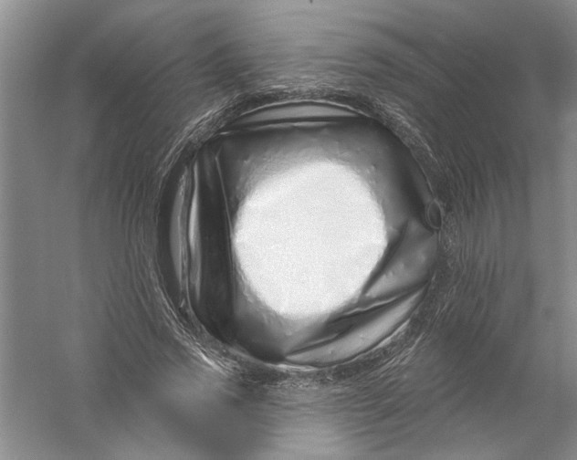 X0000056370733200509232158