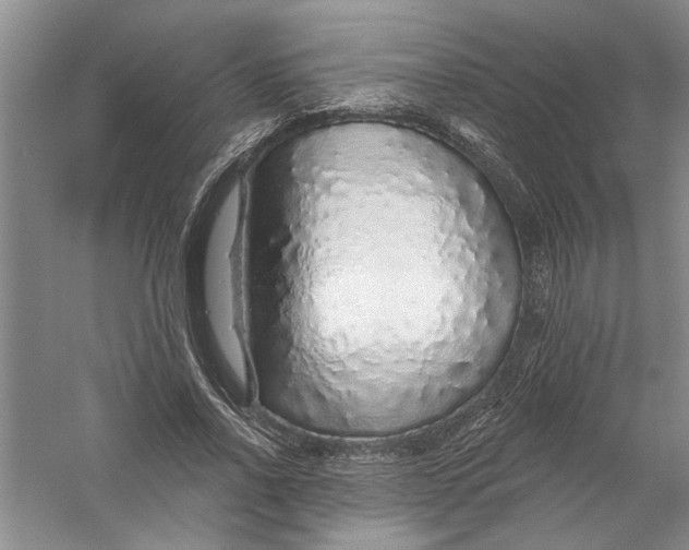 X0000056370734200509232158