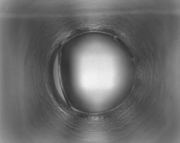 X0000056370740200509232158