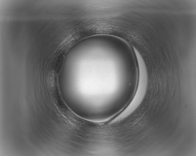 X0000056370744200509232158