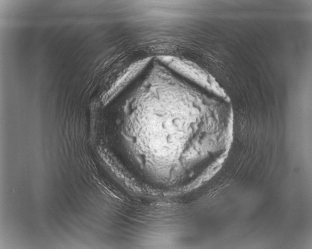 X0000056370745200509232158