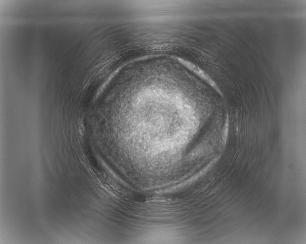 X0000056370746200509232158