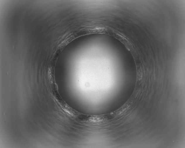 X0000056370764200509232158