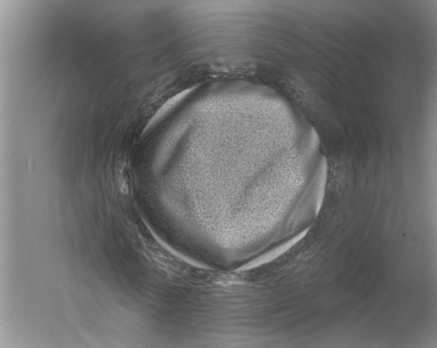 X0000056370770200509232157