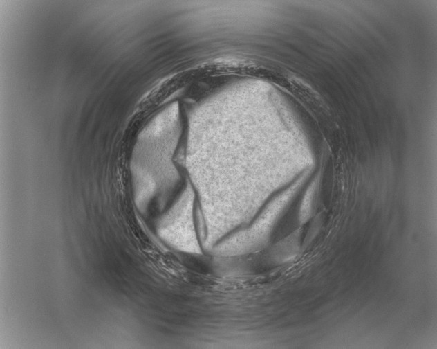 X0000056370776200509232157
