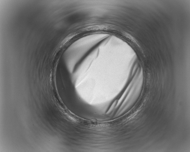 X0000056370778200509232157
