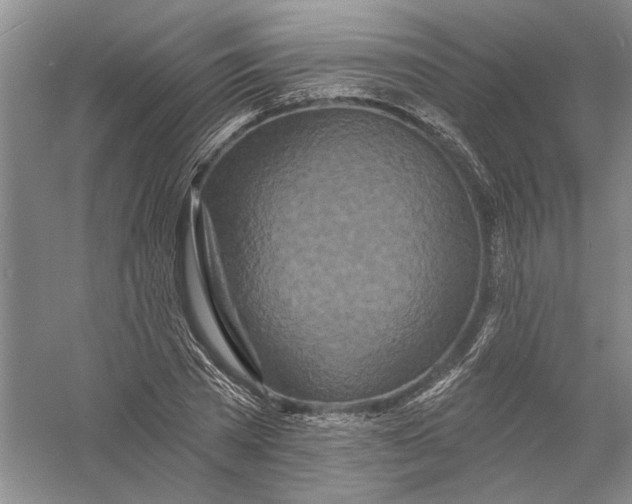 X0000056370785200509232157