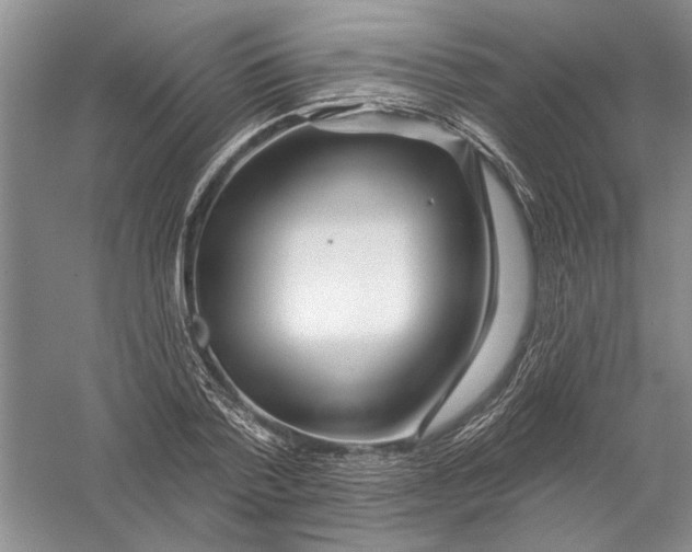 X0000056370788200509232157