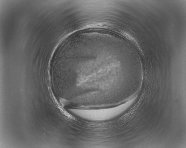X0000056370792200509232157