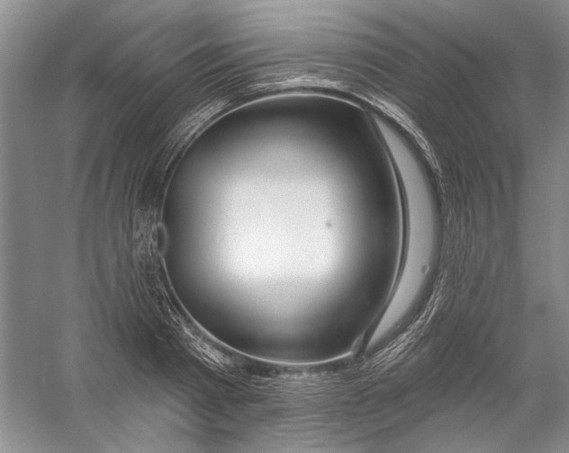 X0000056370793200509232157