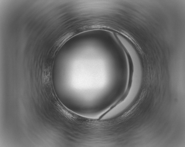 X0000056370801200509232157