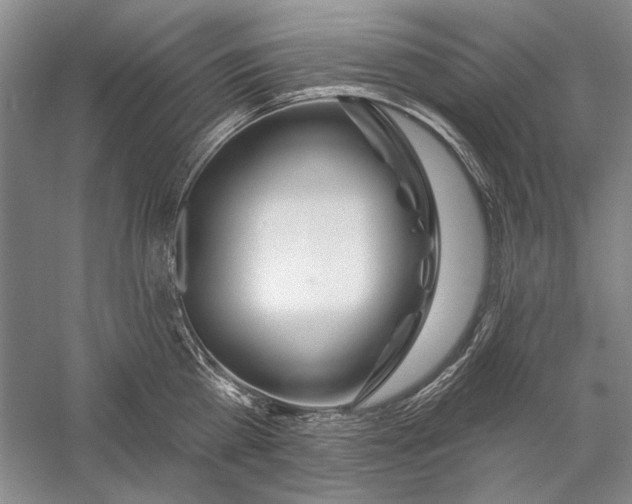 X0000056370809200509232157