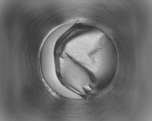 X0000056370816200509232157