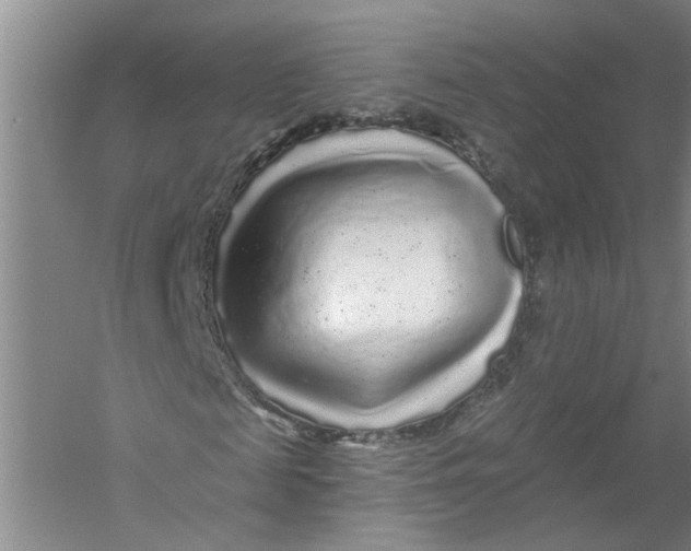 X0000056370817200509232156