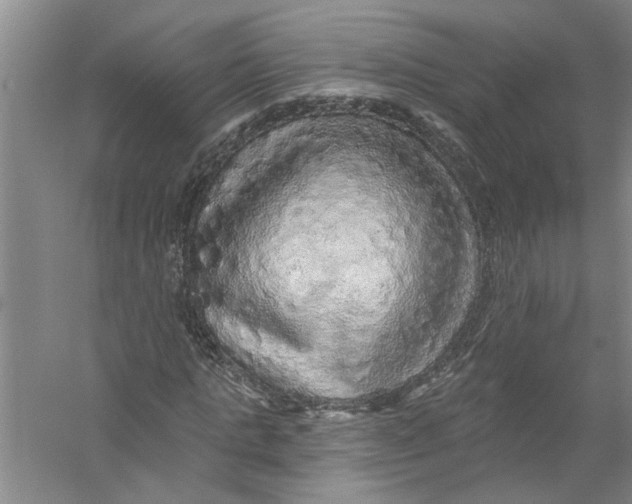 X0000056370821200509232156