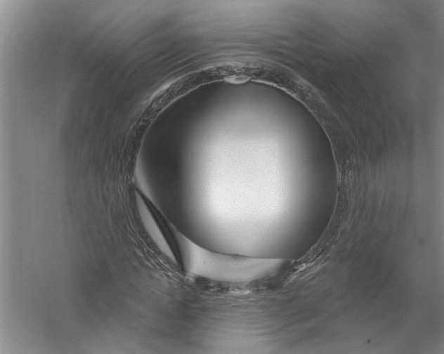 X0000056370822200509232156