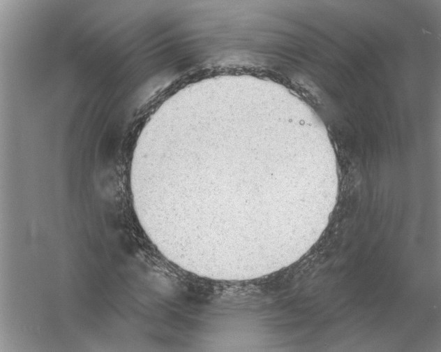 X0000056370824200509232156