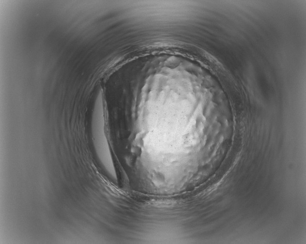 X0000056370825200509232156