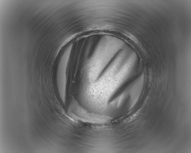 X0000056370826200509232156