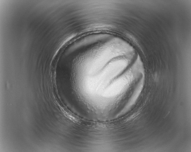 X0000056370827200509232156