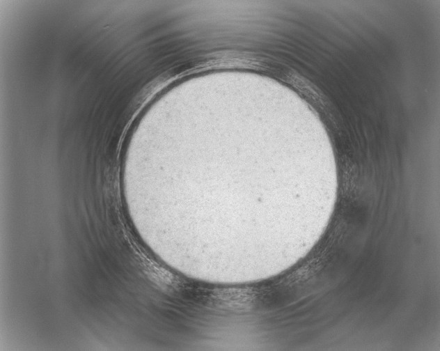 X0000056370836200509232156
