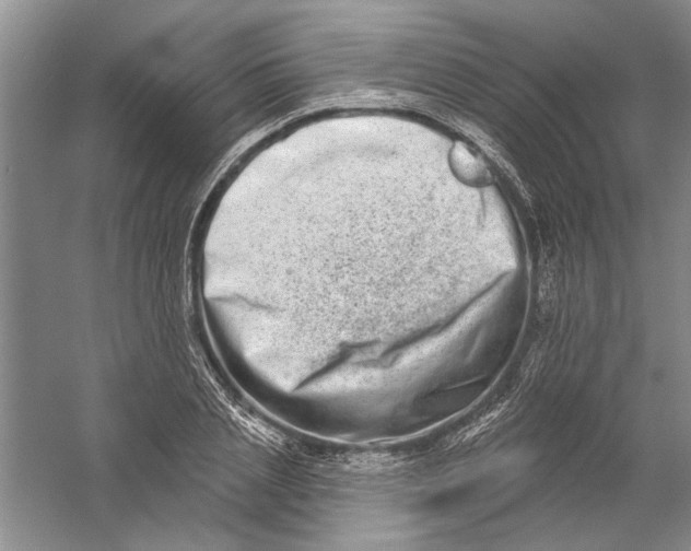 X0000056370837200509232156