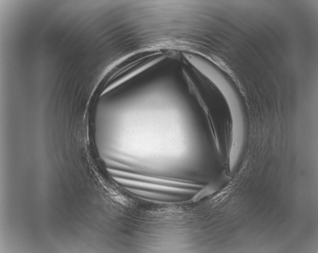 X0000056370838200509232156