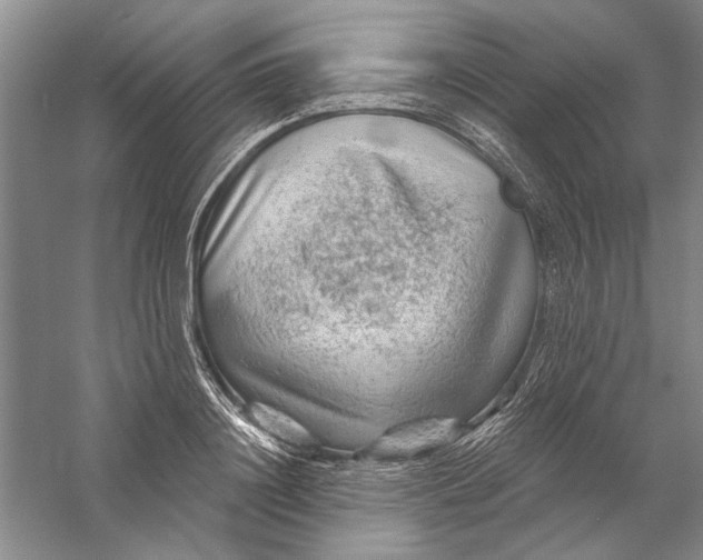 X0000056370844200509232156