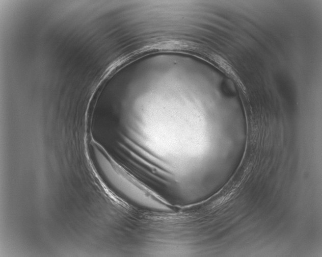 X0000056370845200509232156