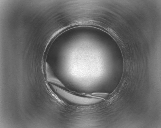 X0000056370846200509232156