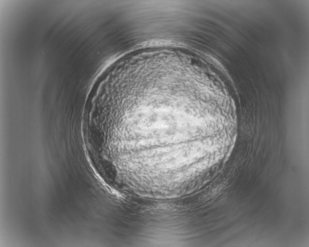 X0000056370847200509232156
