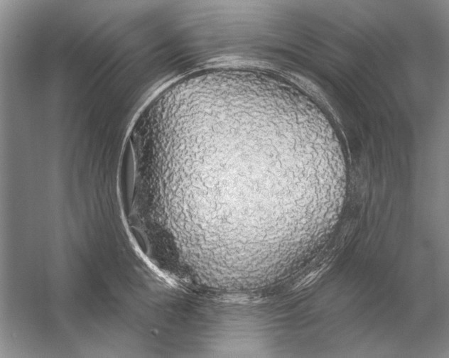 X0000056370855200509232156