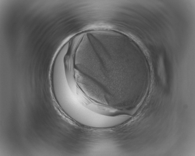X0000056370864200509232157