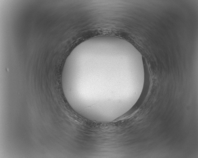 X0000056370865200509232156