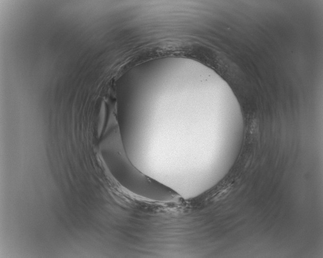 X0000056370868200509232156
