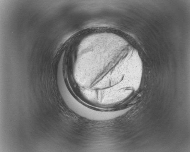 X0000056370871200509232156