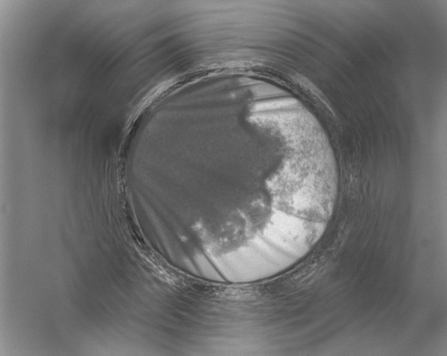X0000056370874200509232156