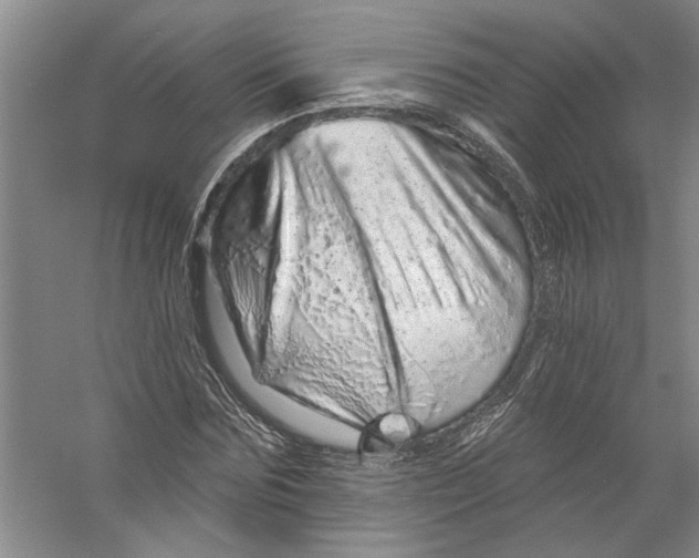 X0000056370875200509232156